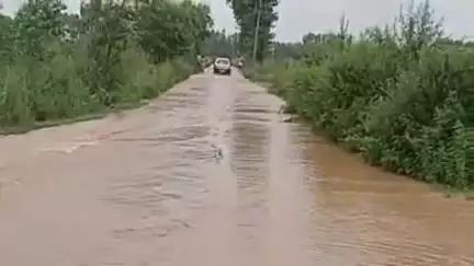 अम्बाला: नकटी नदी उफान पर, सहैला में घुसा नदी का पानी; भूमि जलमग्न होने से किसान चिंतित