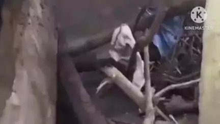 বাঁকুড়া ১: শ্রীচন্দ্রপুর গ্রামে দল ছুট দুটি দাঁতাল হাতি ভাঙল বাড়ি ও দোকান, বৃষ্টিতে অসহায় পরিবার, আতঙ্কিত গ্রামবাসী