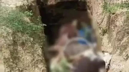 मितौली: बेहजम गौशाला के पास खुले में पड़े मृत गायों के अवशेष, प्रशासन बना जानकर भी अनजान
