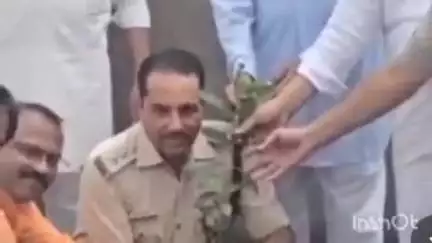 भितरवार: नगर के ईदगाह मस्जिद के पास कब्रिस्तान में पर्यावरण संरक्षण हेतु लगाए गए 50 पौधे