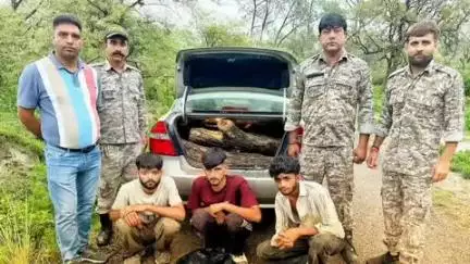 ऊना: अंबेहड़ा धीरज में तीन वन काटुओं को खैर के मोच्छो व गाड़ी सहित किया गया काबू, मामला दर्ज