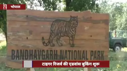 मध्य प्रदेश के टाइगर रिजर्व में एडवांस बुकिंग शुरू, 1 जुलाई से इस तारीख तक रहेंगे बंद