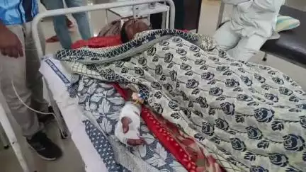 बुलढाणा: करवंड येथील शेतकऱ्यावर अस्वलाचा हल्ला, गंभीर जखमी शेतकऱ्यावर जिल्हा रुग्णालयात उपचार सुरू