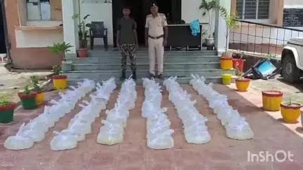 सिरदला: परनाडाबर पुलिस ने जोगिया जंगल में डंप की गई 960 लीटर देशी महुआ शराब किया बरामद