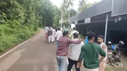 നിലമ്പൂർ: കരടിക്ക് പിന്നാലെ പുലിയും, അമരമ്പലം നിവാസികൾ ആശങ്കയിൽ, പുലിയെ കണ്ടതായി അഭ്യൂഹം