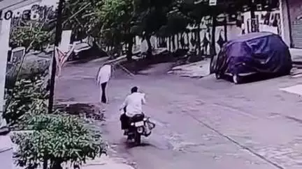 परभणी: मोकाट बैलाच्या हल्ल्यात वृद्ध गंभीर जखमी गजननगरातील घटना, सीसीटीव्ही व्हिडिओ व्हायरल