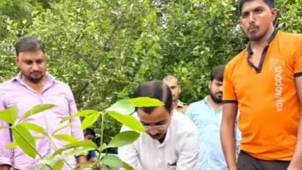 बिलग्राम: सुकरौला में विधायक आशीष सिंह आशू ने पौधरोपण किया, एक पेड़ मां के नाम लगाने के तहत हुआ कार्यक्रम