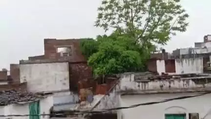 दतिया नगर: शाम की बारिश से मौसम हुआ सुहावना, कमरारी में बिजली गिरने से दो भैंसों की मौत