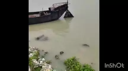 রতুয়া ১: ক্রমাগত বাড়ছে গঙ্গা নদীর জলস্তর,মুলিরাম টোলা এলাকায় নদী ভাঙ্গন রোধের কাজ তলিয়ে যাচ্ছে।