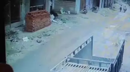 पेण्ड्रा रोड गौरेला: पेंड्रा थाना क्षेत्र के बचरवार गांव में चलती स्कूटी से गिरी महिला और बच्चा, सीसीटीवी में कैद हुआ वीडियो हुआ वायरल