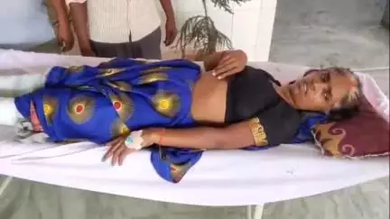 बरेली: आंवला क्षेत्र के रामनगर में बंदरों के हमले से बचने के प्रयास में महिला छत से गिरी, जिला अस्पताल में भर्ती