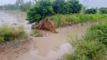 नवाबगंज: बांसा धरौली मार्ग के निकट रजबहा नहर कटी, कई बीघे फसल जलमग्न