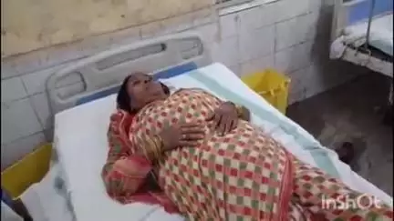 गोपालगंज: बढ़ेया गांव में घर का काम कर रही महिला को सांप ने काटा, गंभीर हालत में सदर अस्पताल में भर्ती