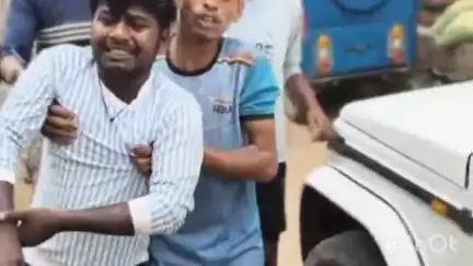 त्योंथर: मलपार अंतरसुइयां गांव में पीपल का पेड़ गिरने से रेस्क्यू खत्म, आइसक्रीम वाहन क्षतिग्रस्त, मालिक घायल