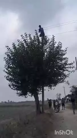 कैसरगंज: पहाड़ पुरवा गांव में 11 हजार बोर्ड की बिजली लाइन में अचानक लगी आग, मची अफरा-तफरी