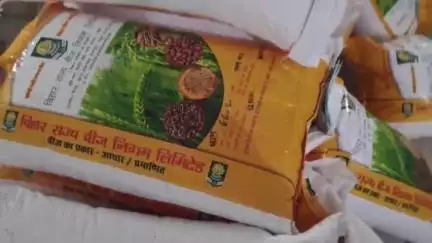 पटोरी: पटोरी में ₹6 प्रति किलो अनुदानित दर पर धान बीज वितरण, 'पहले आओ, पहले पाओ' का लाभ
