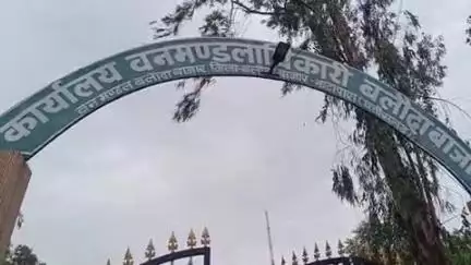 बलौदाबाज़ार: बलौदा बाजार में वनमण्डल में वाहन चालक भर्ती: प्रायोगिक परीक्षा हेतु हल्के वाहन चालक के लिए 50 अंक निर्धारित, 319 एवं भार