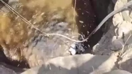 लोणार: चिंचोली सांगळे येथे विहिरीत पडलेल्या सापाला सर्पमित्रांनी दिले जीवदान