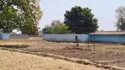 देवसर: ग्रामीण क्षेत्र में बिजली की लापरवाही, तीन दिन से अंधेरे में पचौर मझौली क्षेत्र