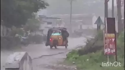 వికారాబాద్: కురిసిన భారీ వర్షం...పంట పొలాలకు చేకూరిన సారం
