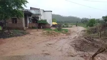 तिरोड़ी: नहलेसरा गांव में तेंदुए ने पालतू कुत्ते का शिकार किया, गांव में दहशत