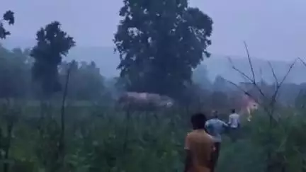 बरकागाँव: बड़कागांव में हाथियों के उत्पात से ग्रामीण परेशान, 30 एकड़ फसलें नष्ट