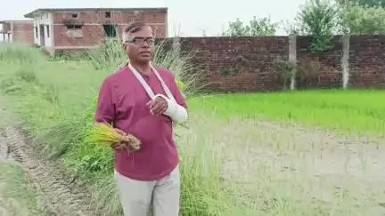 #देश_की खुशहाली, धरती की हरियाली के लिए देश के अन्नदाता किसानों के सम्मान के लिए: दो शब्द