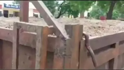परभणी: स्थानिक गुन्हे शाखा व बोरी पोलिसांची अवैध वाळू वाहतूक करणाऱ्यांवर संयुक्त कारवाई : 9 लाख 80 हजाराचा मुद्देमाल जप्त