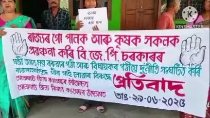 গোলাঘাট: গৰু খুটি প্ৰকল্পৰ গিৰ গাই কেলেংকাৰীৰ বিৰুদ্ধে জিলা কৃষক কংগ্ৰেছৰ কৰ্ট ৰোডত উত্তাল প্ৰতিবাদ, আৰক্ষী প্ৰতিবাদকাৰীৰ হতাহতি