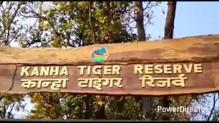 नैनपुर: कान्हा नेशनल पार्क में 1 जुलाई से 3 महीने के लिए बंद रहेगा पर्यटन, 1 अक्टूबर से पर्यटकों के लिए फिर से खुलेगा पार्क