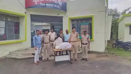 मंडला: मोहगांव पुलिस ने 17.5 किलोग्राम गांजे के साथ एक आरोपी को किया गिरफ़्तार, अतिरिक्त पुलिस अधीक्षक ने दी जानकारी