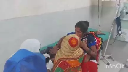 अररिया: अररिया आरएस में खेत में पशु जाने को लेकर दो पक्षों के बीच हुई मारपीट में एक महिला घायल, इलाज जारी
