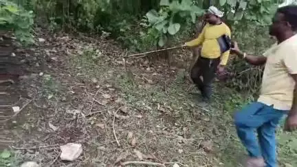 डिंडौरी: बरगांव: सिलगी नदी के पास सर्पमित्र ने रसल वाइपर सांप का किया रेस्क्यू, सुरक्षित जंगल में छोड़ा