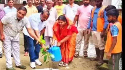 निचलौल: सिसवा नगरपालिका में डॉ. श्यामा प्रसाद मुखर्जी को लोगों ने दी श्रद्धांजलि, अध्यक्ष ने किया पौधरोपण