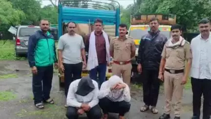 मुर्तीजापूर: भगतसिंग चौक येथे शहर पोलिसांनी ३ गोवांशांना दिले जीवनदान, दोन आरोपीसह ३ लाख ६० हजारांचा मुद्देमाल जप्त