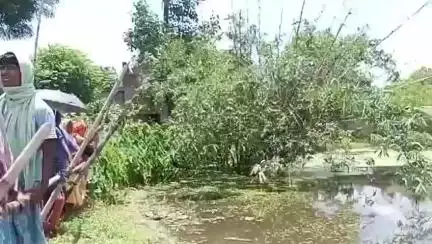 মুর্শিদাবাদ জিয়াগঞ্জ: পুকুর থেকে উদ্ধার নিখোঁজ শিশুর মৃতদেহ, শোকের ছায়া দিলালপুরে