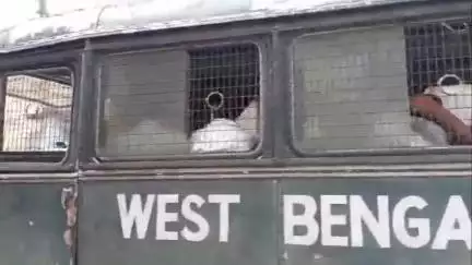 বর্ধমান ১: মেমারি কলেজে TMCP-র দুইগোষ্ঠীর সংঘর্ষে ধৃত 3; গাছ যেমন হবে তার শাখাপ্রশাখা তেমনই হবে, বললেন BJP নেতা