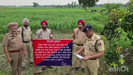 ਤਰਨਤਾਰਨ: ਯੁੱਧ ਨਸ਼ਿਆਂ ਵਿਰੁੱਧ ਮੁਹਿੰਮ ਦੇ ਤਹਿਤ ਤਰਨ ਤਰਨ ਪੁਲਿਸ ਨੇ 5 ਨਸ਼ਾ ਤਸਕਰਾਂ ਦੀ 9 ਕਰੋੜ ਰੁਪਏ ਤੋਂ ਵੱਧ ਦੀ ਜਾਇਦਾਦ ਨੂੰ ਕੀਤਾ ਗਿਆ ਫ੍ਰੀਜ