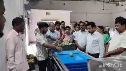 जशपुर: जिला प्रशासन ने बगीचा और मनोरा विकासखंड के 15 पंचायत के नाशपाती फल कृषकों को दी क्लीनिंग-ग्रेडिंग मशीन