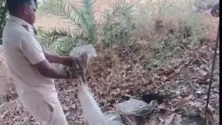 କଣ୍ଟାମାଳ: ଧୂରମାଲ ଜଙ୍ଗଲରେ ଚାଲିଥିବା ଦେଶୀ ମଦ ଆଡାରେ ଜିଲ୍ଲା ଅବକାରୀ ମୋବାଇଲ ସ୍କ୍ୱାଡ଼ର ଚଢ଼ାଉ ବିପୁଲ ପରିମାଣର ପୋଚ ଓ଼ ମଦକୁ ଜବତ କରି ନଷ୍ଟ