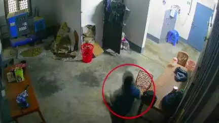 ഉടുമ്പൻചോല: മോഷ്ടാക്കൾ ജീവനക്കാർ തന്നെ, കുഴിത്തൊളുവിലെ വ്യാപാര സ്ഥാപനത്തിലെ ഏലക്ക മോഷണത്തിന്റെ CCTV ദൃശ്യം പുറത്ത്