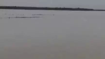 सोहावल: सोहावल निवासी सत्यम मिश्रा की गाड़ी ढेमवा पुल सरयू नदी पर मिली, नदी में कूदने की आशंका