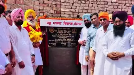 ਲੰਬੀ ਵਿਖੇ ਕੈਬਨਿਟ ਮੰਤਰੀ ਗੁਰਮੀਤ ਸਿੰਘ ਖੁੱਡੀਆਂ ਵੱਲੋਂ ਪਸੂ ਡਿਸਪੈਂਸਰੀ ਦੀਆਂ ਨਵੀਆਂ ਇਮਾਰਤਾਂ ਦੇ ਰੱਖੇ ਗਏ ਨੀਹ ਪੱਥਰ