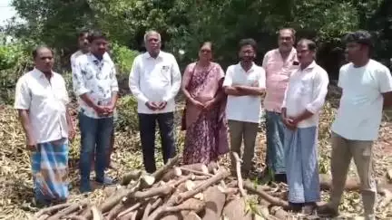 చంద్రగిరి నియోజకవర్గంలో మామిడి చెట్లను నరికివేసిన రైతు: మామిడి రైతులను రాష్ట్ర ప్రభుత్వం దగా చేసింది అంటూ ఆరోపణ