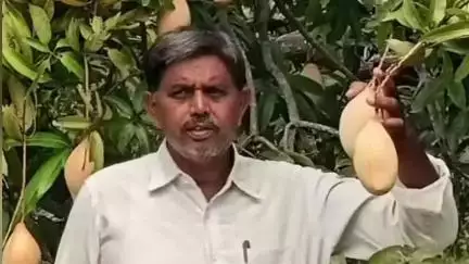 తోతాపురి మామిడి రైతుల గోడు పట్టించుకోండి:
రాయచోటి మండల లీగల్ సర్వీసెస్ కమిటీ మాజీ సభ్యులు యర్రపురెడ్డి విశ్వనాథరెడ్డి