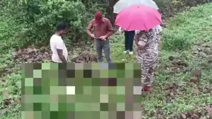 डिंडौरी: कनेरी गांव में मानव कंकाल अवशेष की जांच के लिए बालाघाट फॉरेंसिक टीम ने घटनास्थल का निरीक्षण किया
