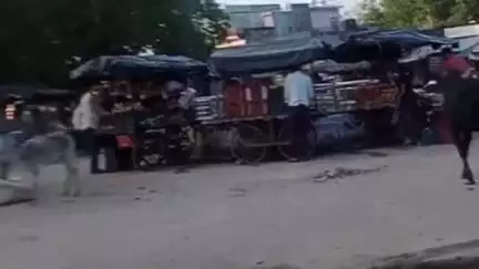 चंदला: चंदला में हाथ ठेला संचालकों की मनमानी, प्रशासन की अनदेखी से लोग परेशान #jandamasya