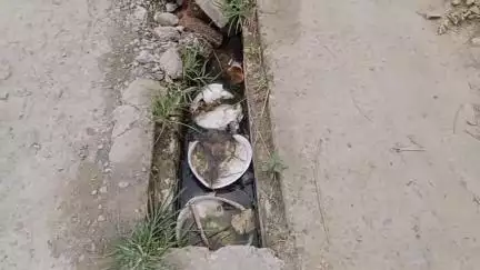 मुहम्मदाबाद गोहना: मालव ग्राम सभा मे नाला की जगह जगह पटिया टूटने से ग्रामीण परेशान मीडिया को दी जानकारी #jansamsya