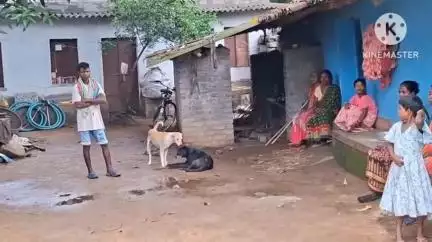 अडकी: काड़ेतुबिद में ग्राम प्रधान की हत्या, पुलिस ने 10 संदिग्धों को पकड़कर शुरू की पूछताछ