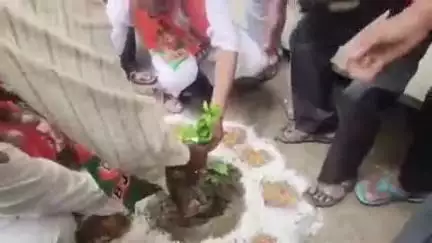 सुसुवाही में डा. श्यामा प्रसाद मुखर्जी के बलिदान दिवस पर मां के नाम पर 101 पेड़ लगाए गए